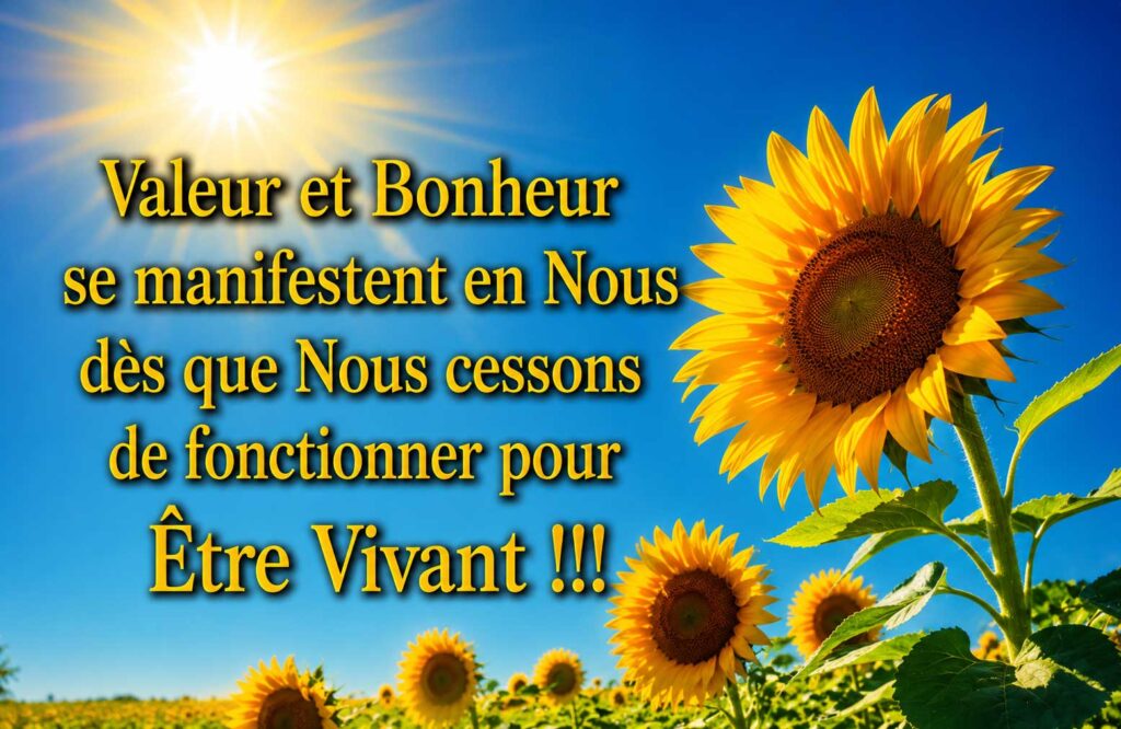 Valeur et Bonheur